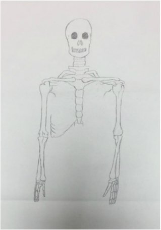 Spooky scary skeletons - Corey's Art blog